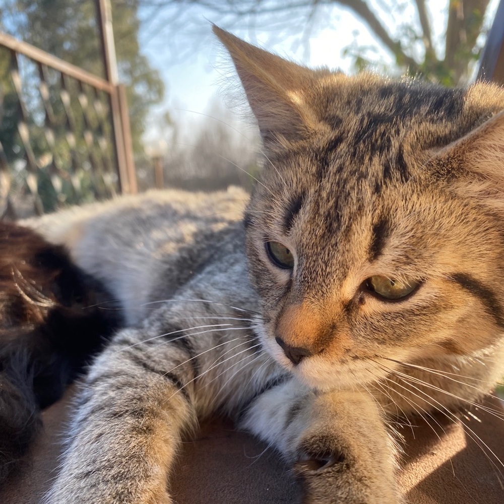 Meet your Posher, Mariana